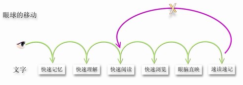 消除眼跳舊習(xí)慣，快速閱讀你也能！  —— 精英特速讀記憶訓(xùn)練網(wǎng)