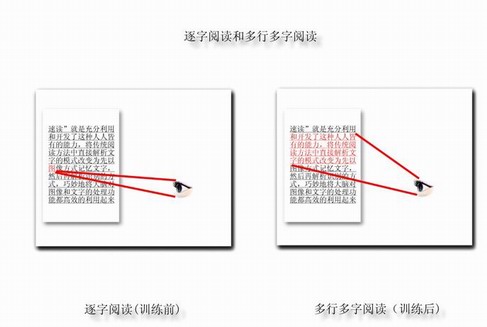 一目十行不是夢，過目不忘你也能！  —— 精英特速讀記憶訓(xùn)練網(wǎng)
